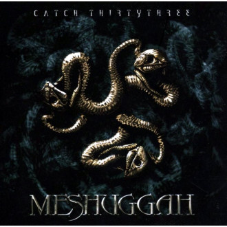 Meshuggah - Catch Thirtythree