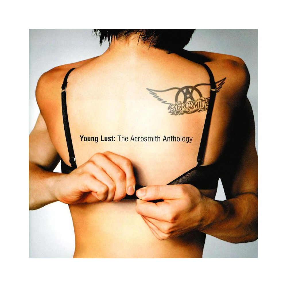 Aerosmith - Young Lust: The Aerosmith Anthology cover art