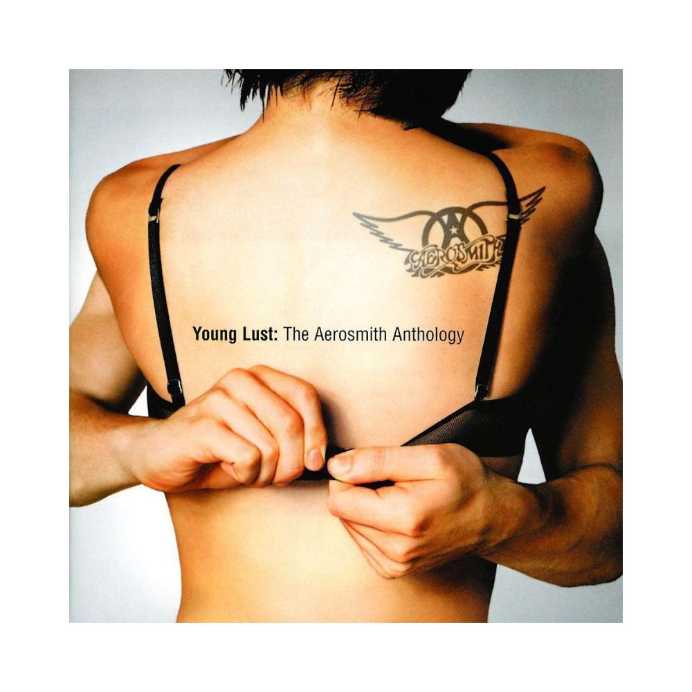Aerosmith - Young Lust: The Aerosmith Anthology cover art