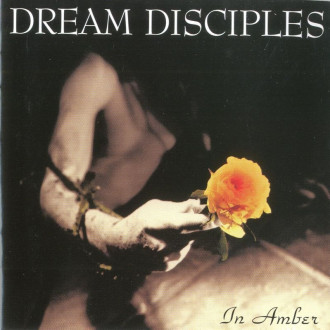 Dream Disciples - In Amber