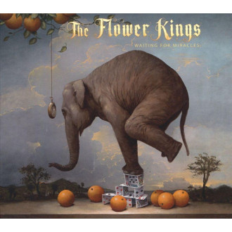 Flower Kings, The - Waiting For Miracles