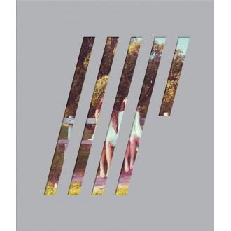 Wilson, Steven - 4½